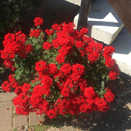 Ferienwohnung Rosi Stoppa 부르크 외부 사진