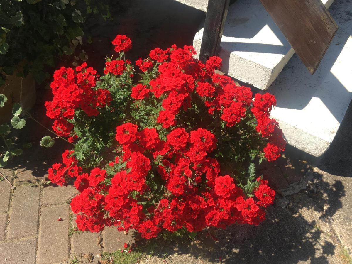 Ferienwohnung Rosi Stoppa 부르크 외부 사진